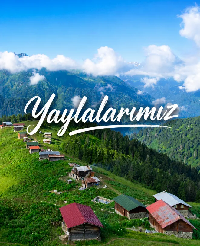 Kutu İkon